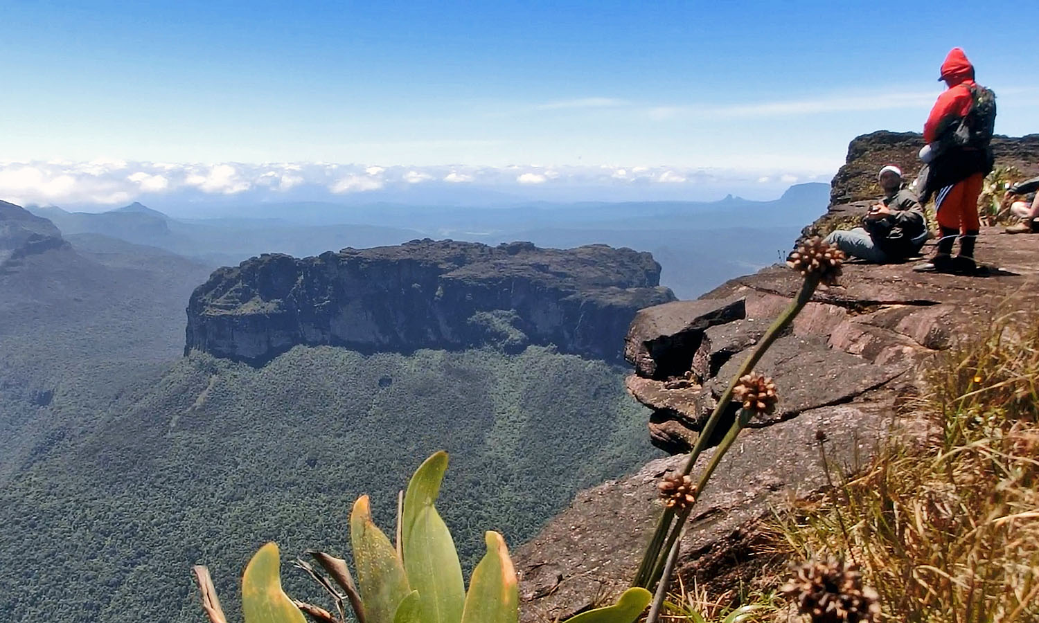 Mount Roraima Hike