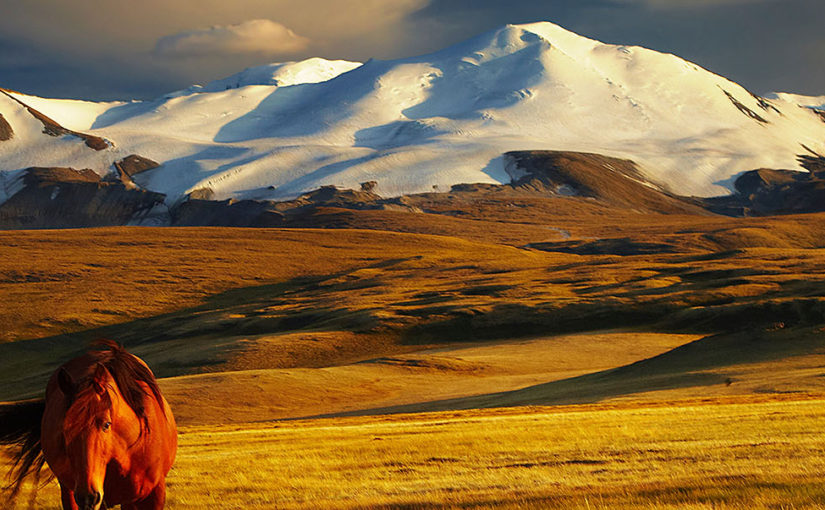 Mongolia in Focus