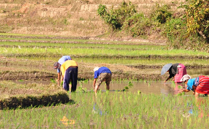 Cycle Thailand’s tribal lands