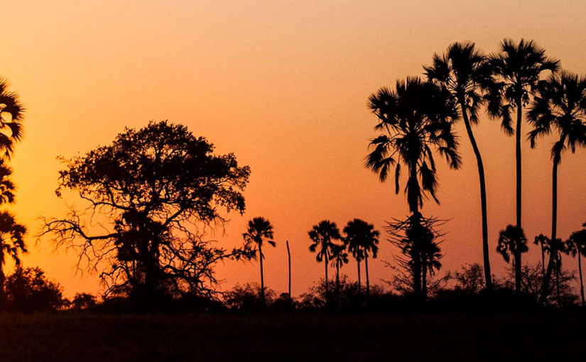 Quad bike across African plains