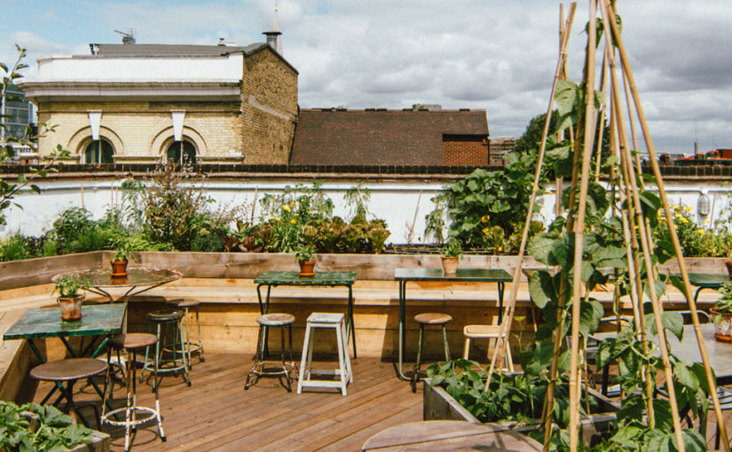 Pub meets rooftop bar meets greenhouse