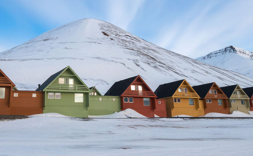 Spot Polar Bears in wild Svalbard