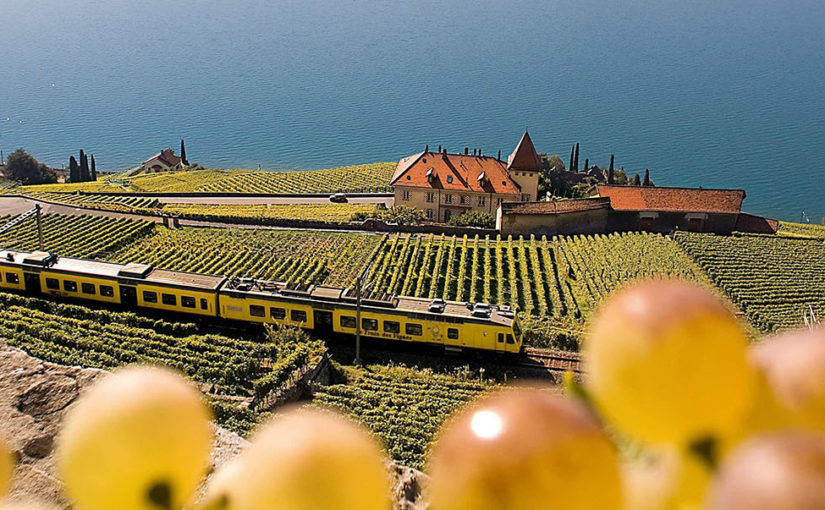 Journey by train into Swiss wine country