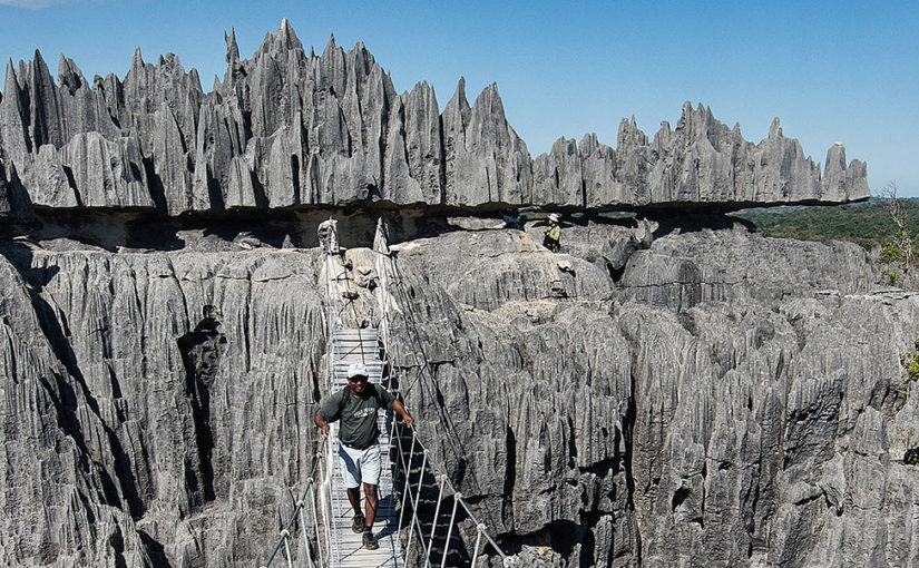 A forest of limestone needles