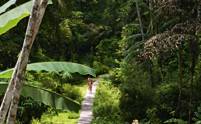 Langkawi Tranquillity