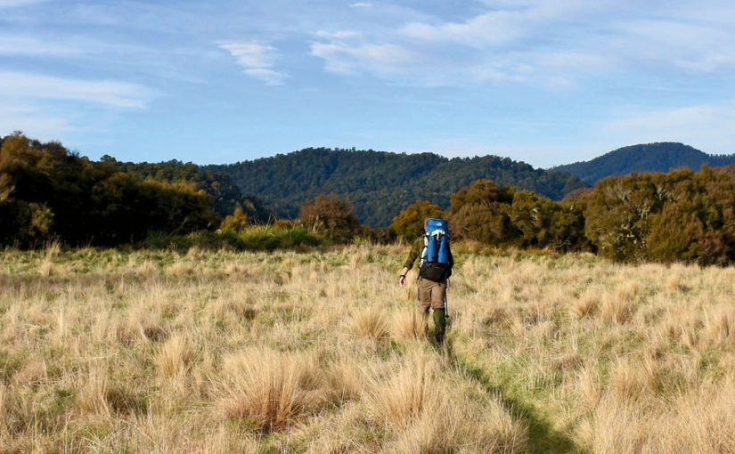 Wild Frontier of Taupo, New Zealand