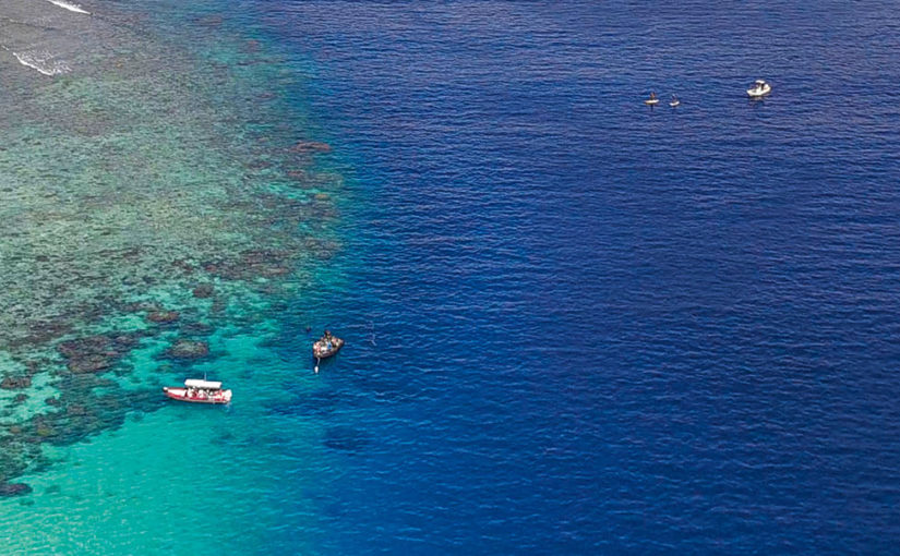 Marine safeguard, New Caledonia