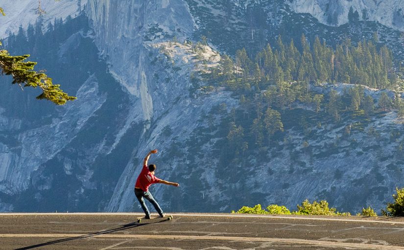 Shaping The Landscape