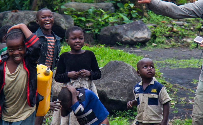 Meet the Bonobos