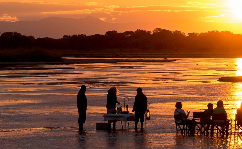 Encounter elephants in Zambia