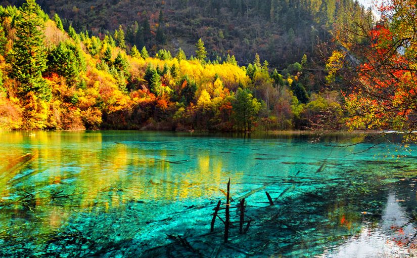 The changing colours of Five Flower Lake