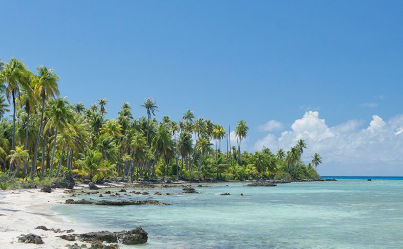 Sand, sea and vines in French Polynesia