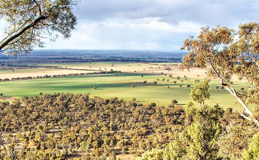 Discover Aboriginal knowledge in NSW