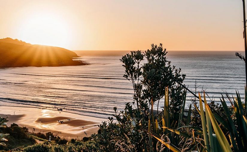 Eat Surf Repeat in Raglan