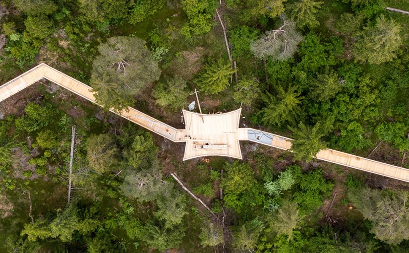 Walk among the treetops in Switzerland