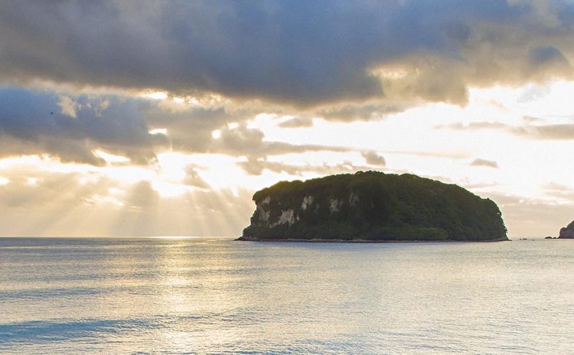 Hidden Islands of Aotearoa