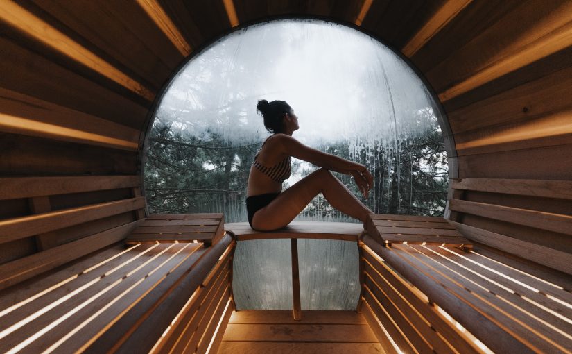 New Zealand Treehouse with a Sauna