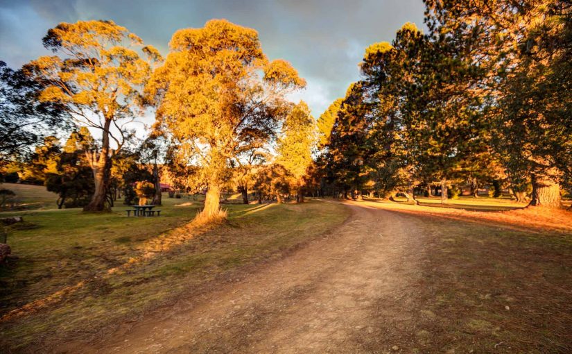 Currango Homestead