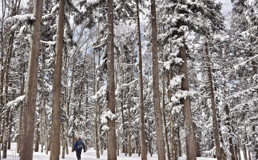 Your best Earth Day snaps…from Earth