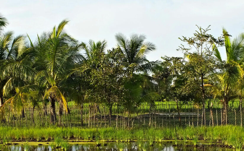 Rats, Mines, and Medals: My Wild Day with the Heroes of Siem Reap